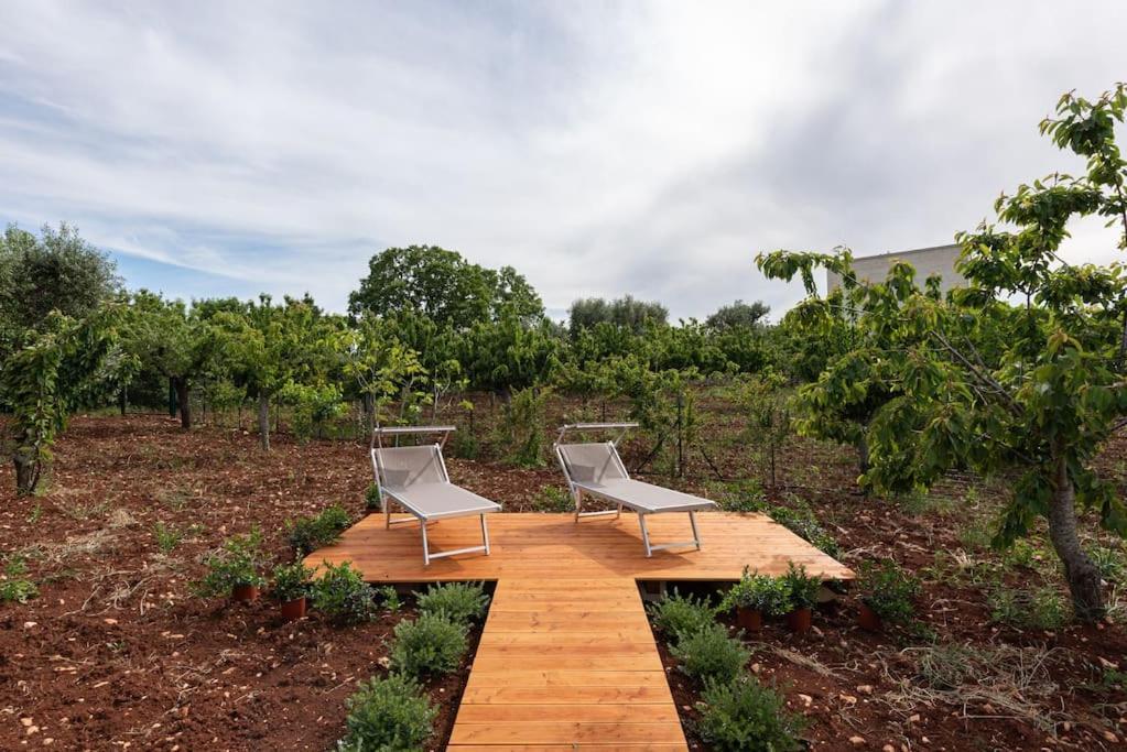 Holiday home Ulivo